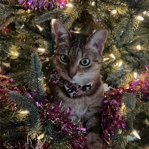 Meet your Posher, Ingrid